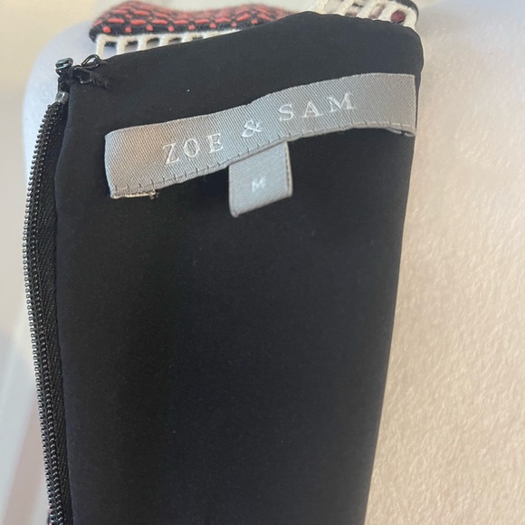 Zoe and Sam Dress - Picture 6 of 7